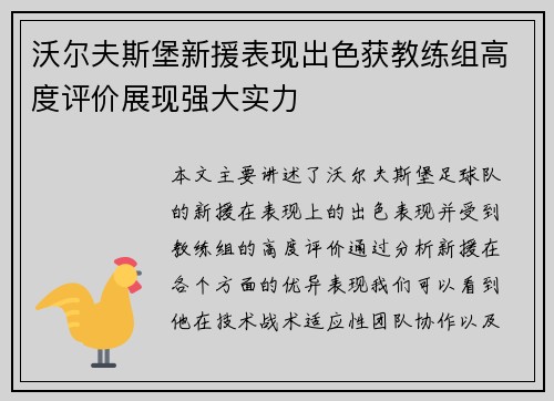 沃尔夫斯堡新援表现出色获教练组高度评价展现强大实力